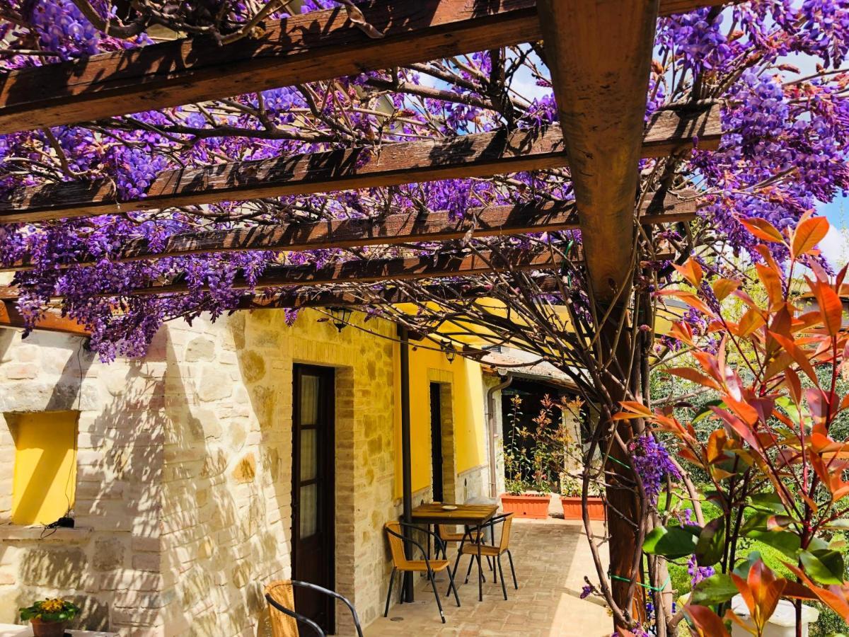 Il Cortile Delle Rose Holiday House Perugia Bagian luar foto